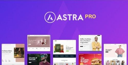 PRO (2) Astra Theme 4.11.14 + Portfolio 1.13.3 – Most Popular WordPress Theme